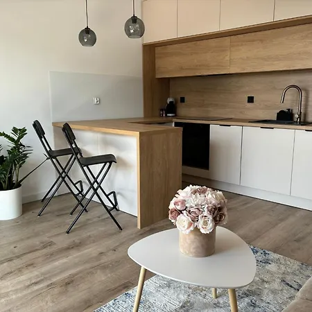 Apartament W Bieli Appartement Olsztyn (Warmian-Masurian)